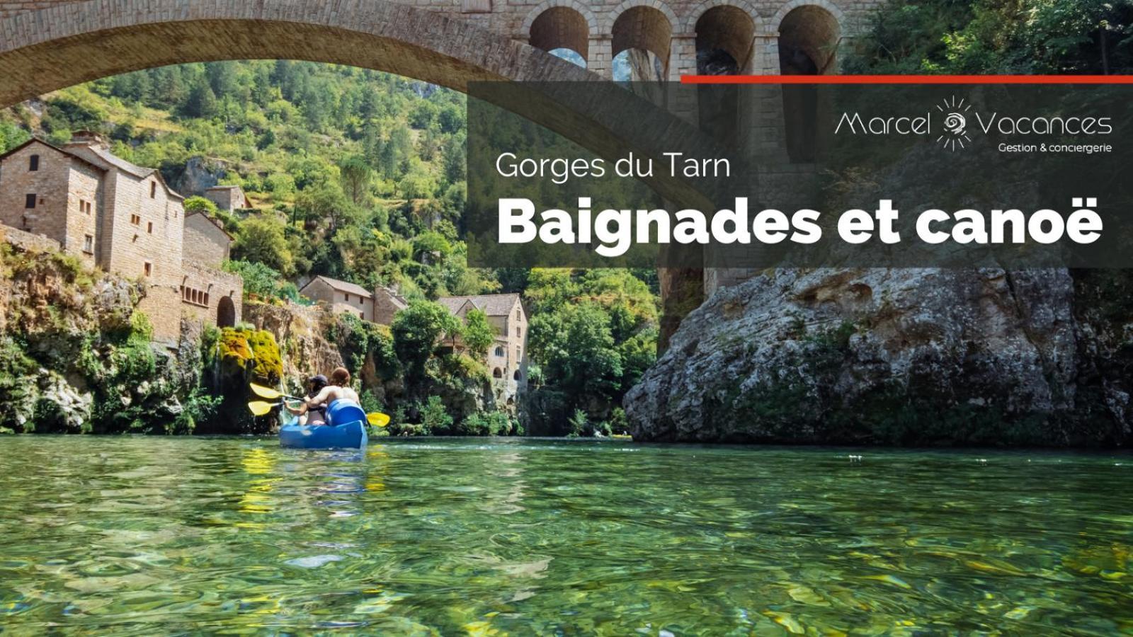 Gorges Du Tarn Gite En Pierres Avec Terrasse Quezac  외부 사진